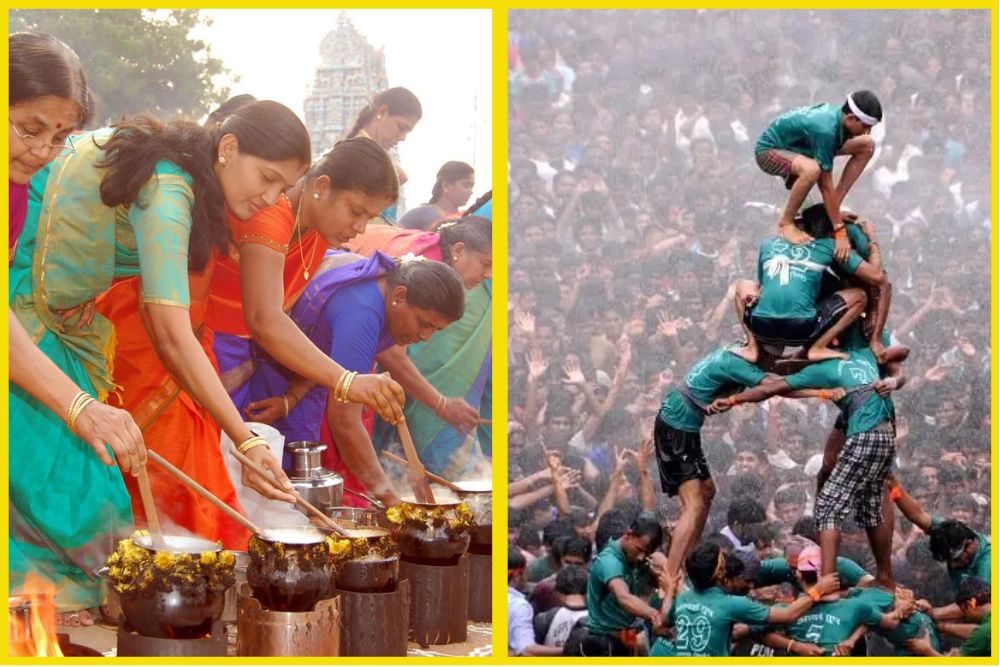 Chennai Vs Mumbai City Festivals
